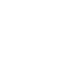 Search Products